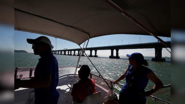 Bridge to China brings threat for Hong Kong's native pink dolphin