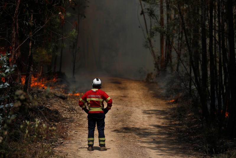 Strong winds reignite wildfires in central Portugal