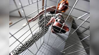 Kissing off menu as lockdown ends for Dutch sex workers