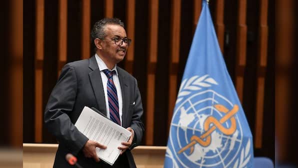 Who's WHO? The World Health Organization under scrutiny