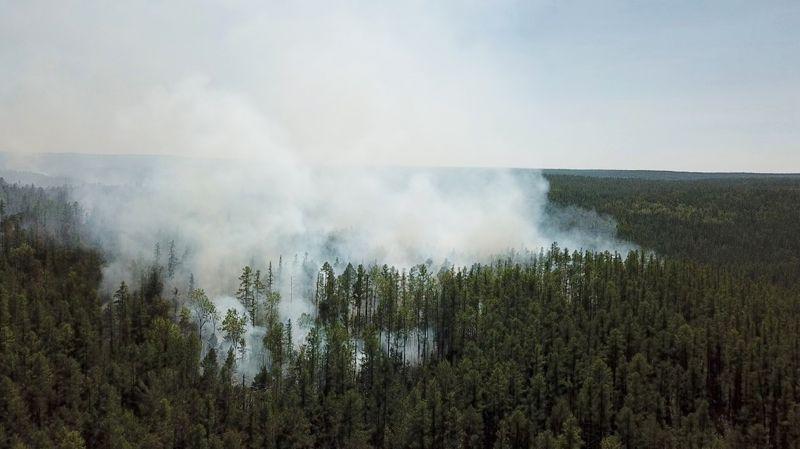 Russia seeds clouds in Siberia to douse raging wildfires