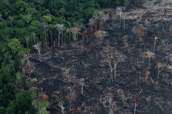 Brazil Amazon deforestation up in June, set for worst year in over a decade Brazil Amazon deforestation up in June, set for worst year in over a decade