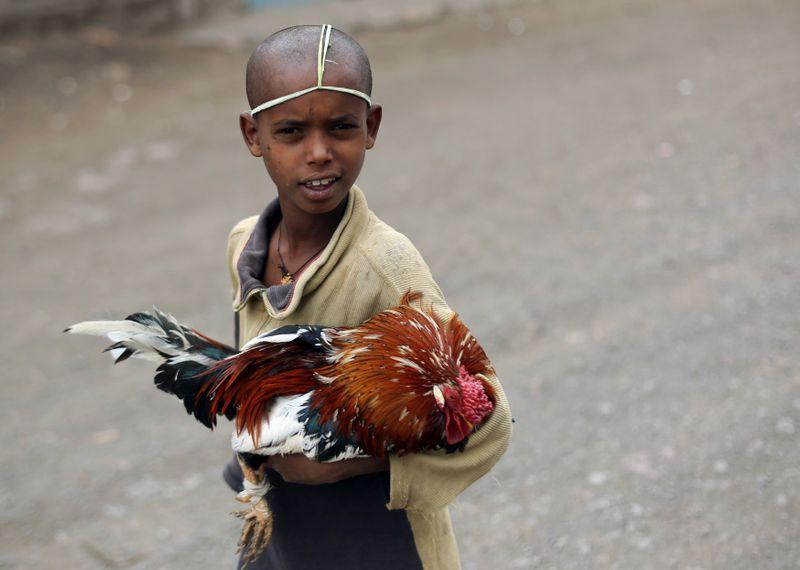 Ethiopian farmers slaughter thousands of chicks as COVID hits demand