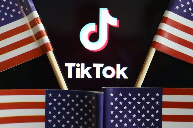 US Senate panel approves ban on using TikTok app on government devices