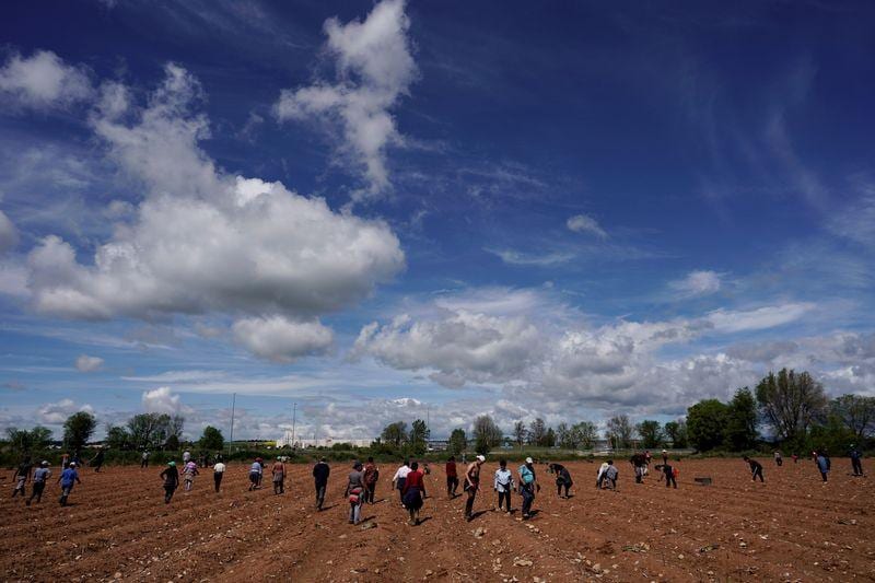 Spain to build camp for migrant strawberry pickers after UN criticism