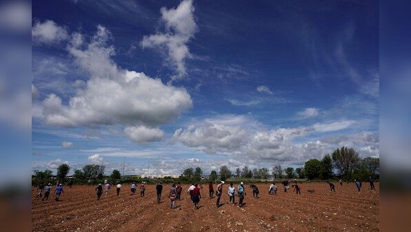 Spain to build camp for migrant strawberry pickers after U.N. criticism
