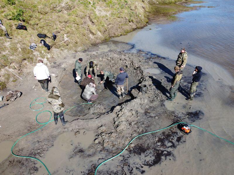 Woolly mammoth skeleton found in lake in Russia's Arctic Woolly mammoth skeleton found in lake in Russia's Arctic
