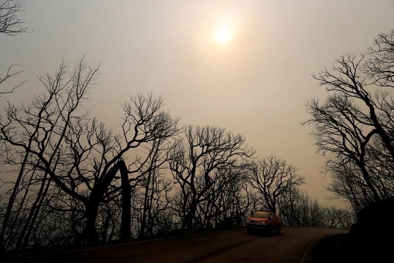 Europe Braces Itself For What Could Be 'Hottest Day Ever' Today