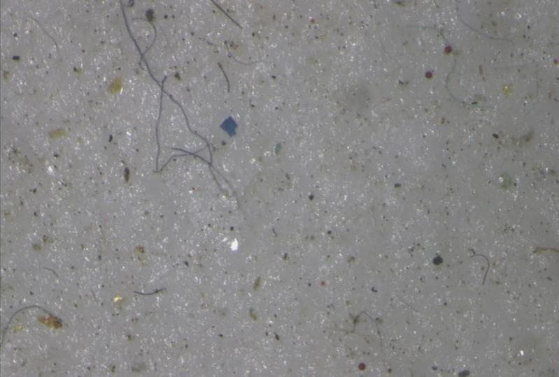 Punch in the gut as scientists find micro plastic in Arctic ice