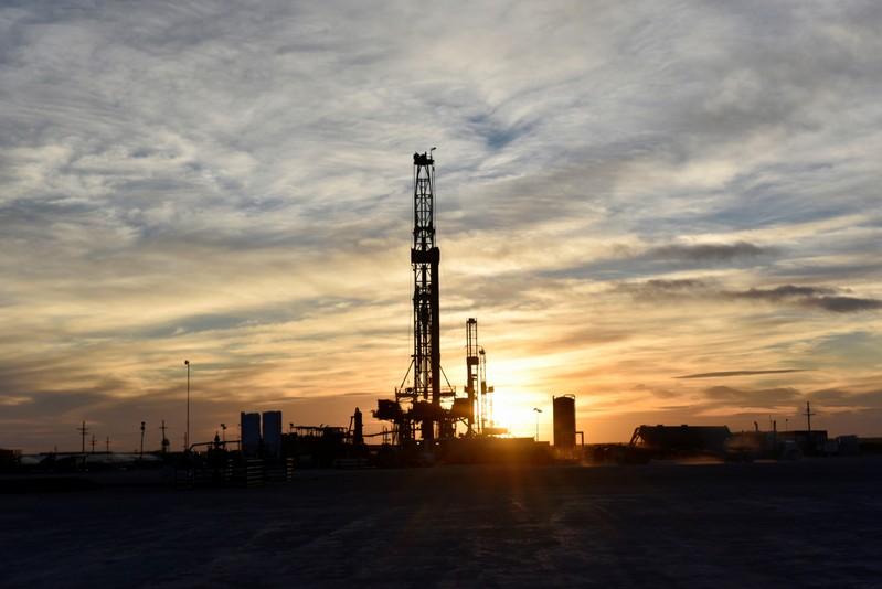 Oil rises alongside equities but downbeat OPEC outlook caps gains