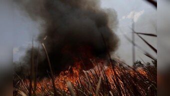 Brazil says open to aid for Amazon fires, but will decide how it's used