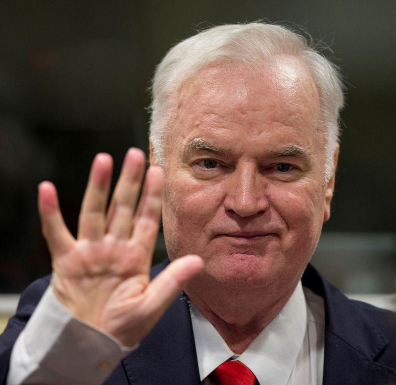 Mladic closing speech cut short at genocide appeal