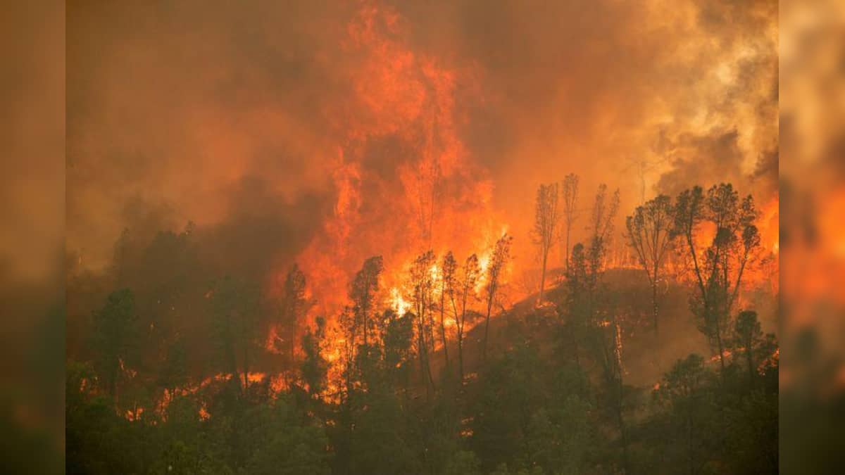Mother Nature on steroids: Early signs point to devastating California fire  season – Firstpost
