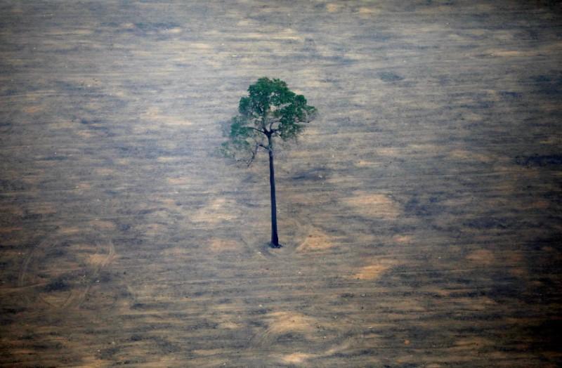 Brazil reversing course says will keep fighting Amazon deforestation
