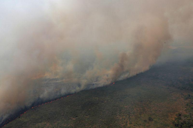 Brazils Pantanal worlds largest wetland burns from above and below