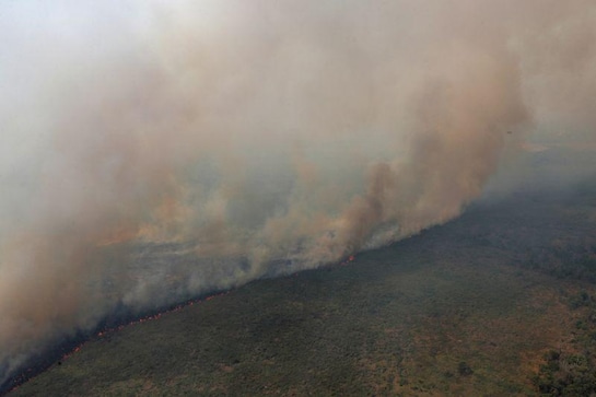 Brazil's Pantanal, world's largest wetland, burns from above and below