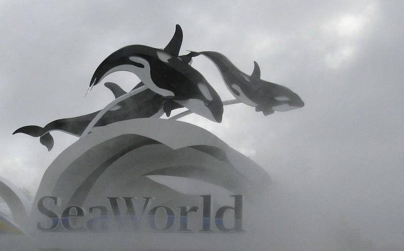 SeaWorld exCEO settle with US SEC over Blackfish