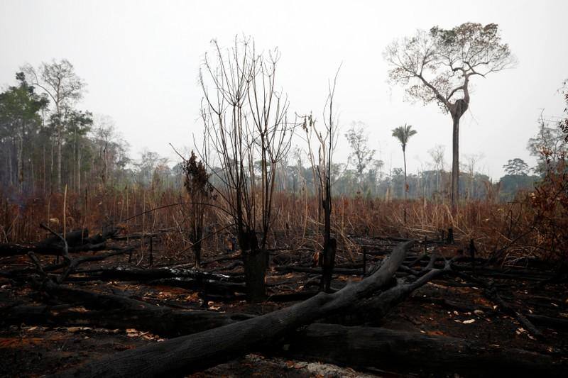 Brazil to hire short-term environmental enforcers following Amazon fires Brazil to hire short-term environmental enforcers following Amazon fires