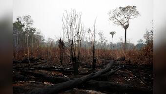 Brazil to hire short-term environmental enforcers following Amazon fires