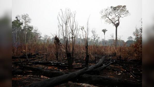 Brazil to hire short-term environmental enforcers following Amazon fires