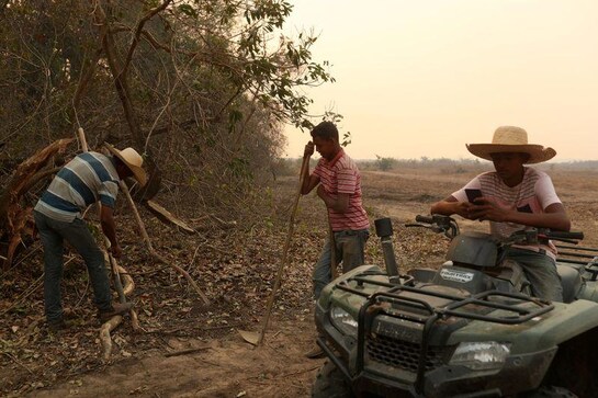 Burned jaguars, fire tornadoes: Blazes in Brazil wetland deliver climate warning Burned jaguars, fire tornadoes: Blazes in Brazil wetland deliver climate warning