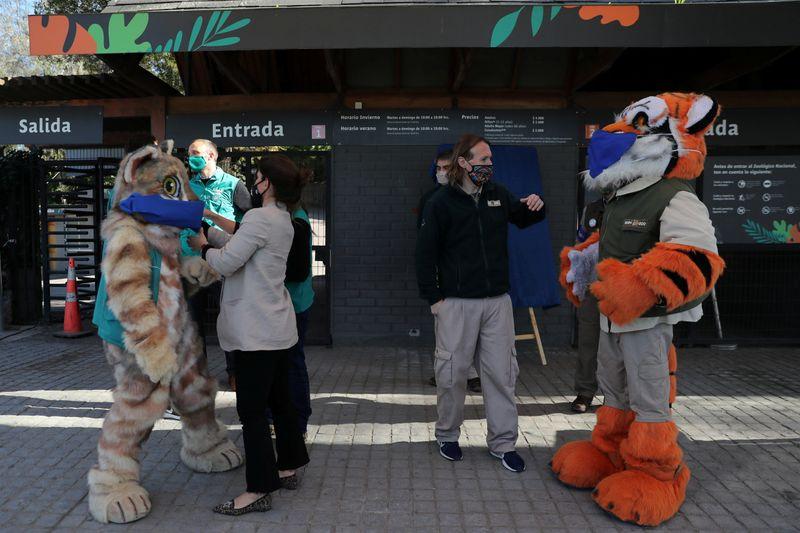 Wanted Animal Godparents for Chilean Zoo in quotBleakquot Year