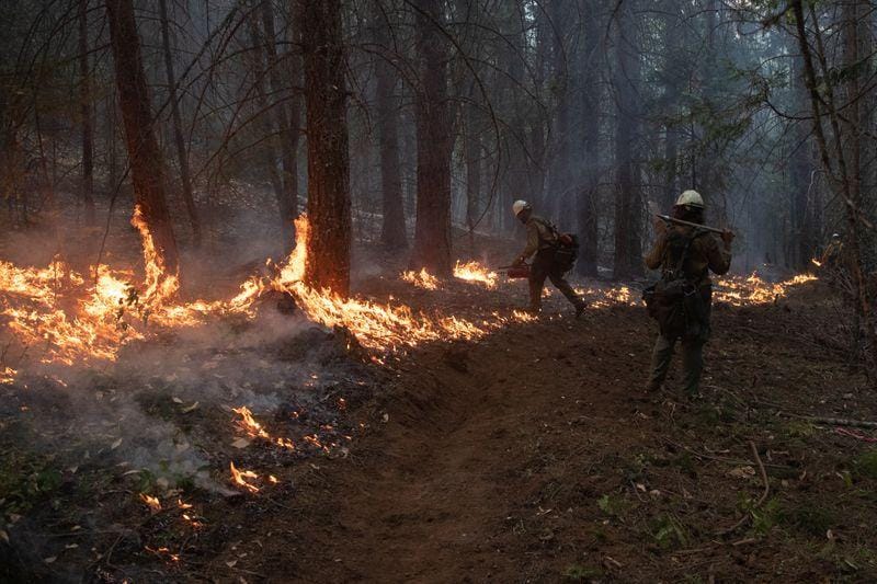 Crews battle wildfires in US West as smoke travels the world