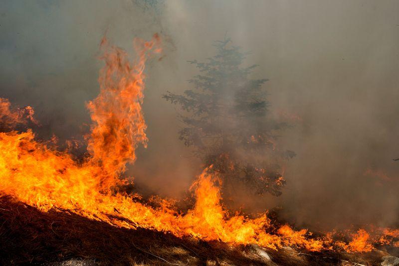Californias wildfire death toll rises as showers bolster crews in Oregon
