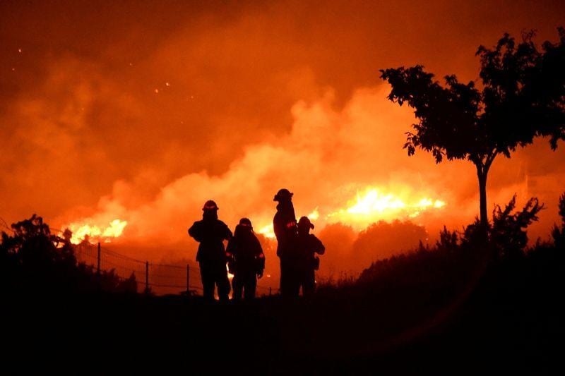 California outpaced Trumps Forest Service in wildfire prevention work data