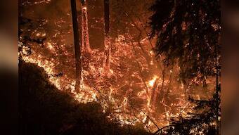 Napa Valley wineries menaced by wildfire, as second California blaze kills three