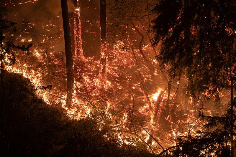 Napa Valley wineries menaced by wildfire, as second California blaze kills three Napa Valley wineries menaced by wildfire, as second California blaze kills three