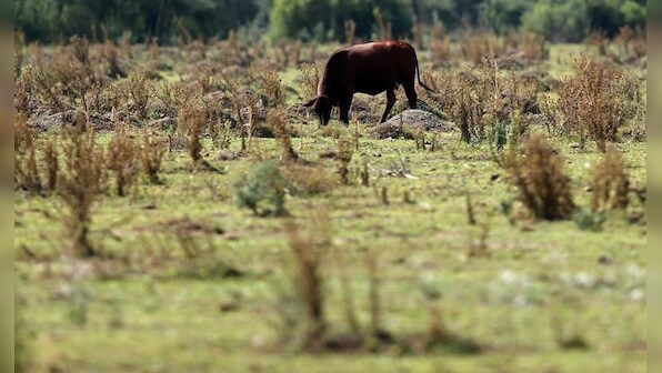 Less meat, more pasta: how the economic crisis is changing Argentina's diet