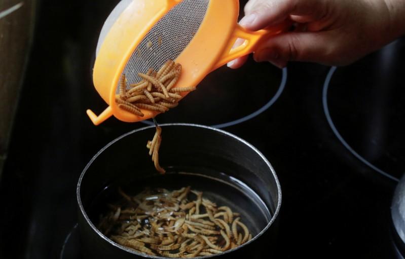 Ants, crickets and cockroaches - healthy snacks that taste like potato chips Ants, crickets and cockroaches - healthy snacks that taste like potato chips