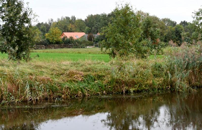 Man held after Dutch family found locked away in secret farmhouse room