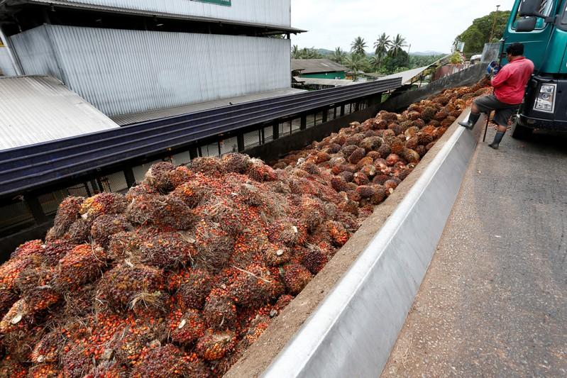 Shun Malaysia Indias palm oil buyers told amid Kashmir standoff
