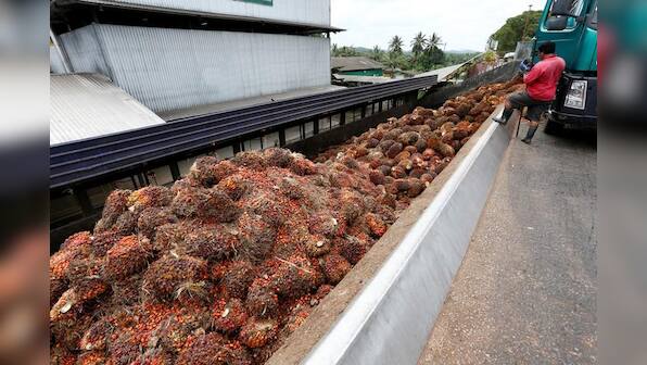 Shun Malaysia, India's palm oil buyers told amid Kashmir standoff