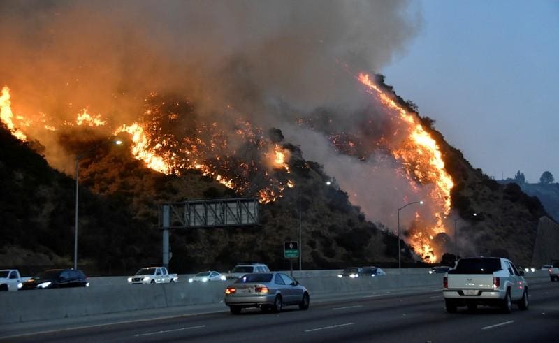 Getty fire in LA likely caused by tree branch falling on power lines  fire officials