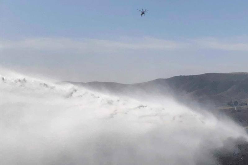 Hungry goats help save California’s Reagan library from wildfire
