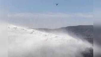Hungry goats help save California's Reagan library from wildfire