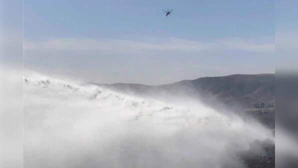 Hungry goats help save California's Reagan library from wildfire
