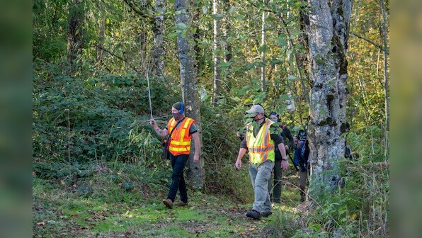 'Murder hornet' nest vacuumed out of tree in Washington