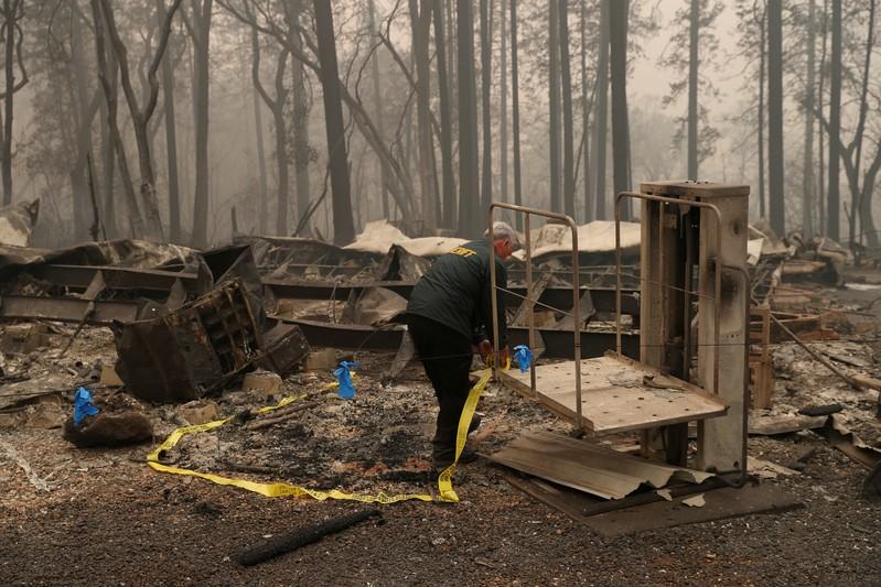 California taps warzone DNA specialists after wildfire