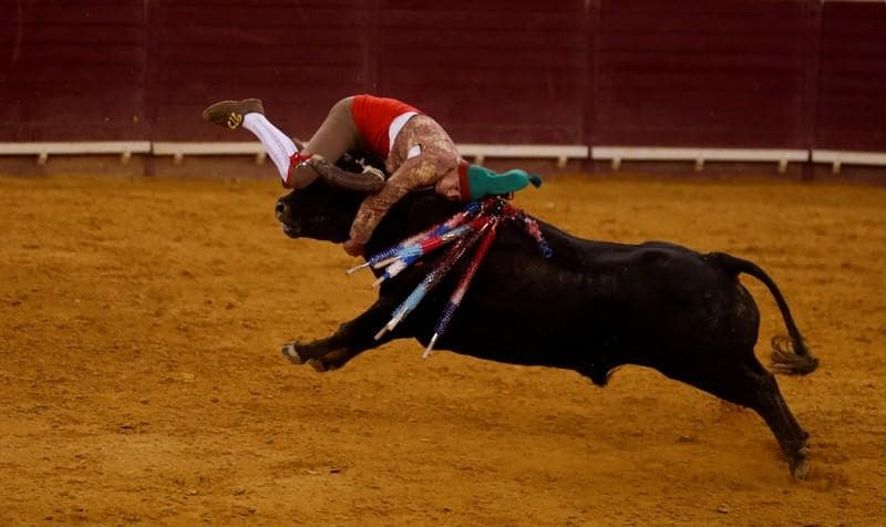 Bullfight tax row splits Portugals ruling Socialists