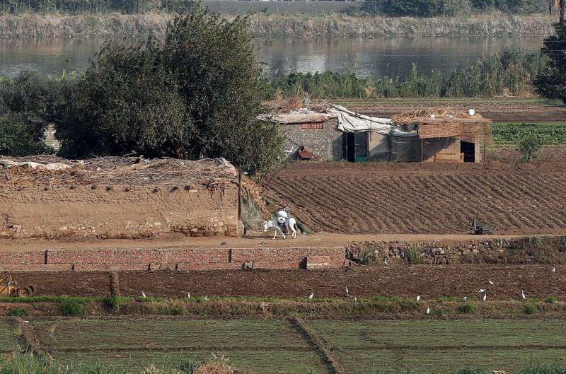 Egypts poor bear brunt of crackdown on farmland building