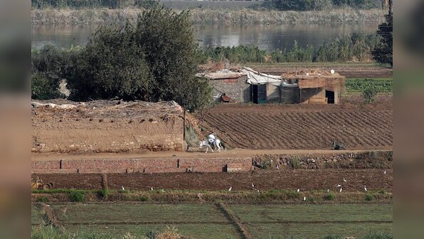 Egypt's poor bear brunt of crackdown on farmland building
