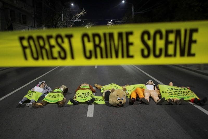 Thousands of Romanians protest against illegal logging attacks on forest workers
