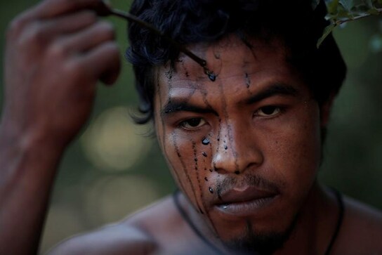 Brazilian state creates force to protect Amazon tribe from loggers Brazilian state creates force to protect Amazon tribe from loggers