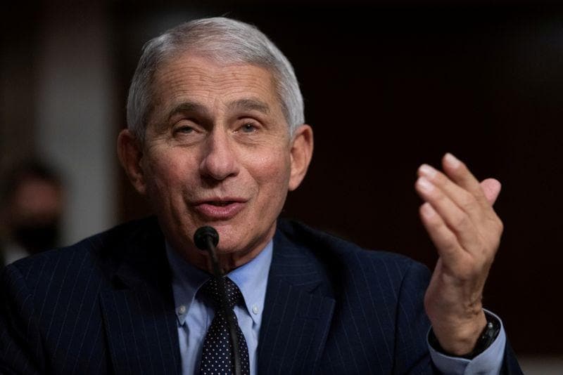 Fauci says he will take new Pfizer vaccine if FDA approves it