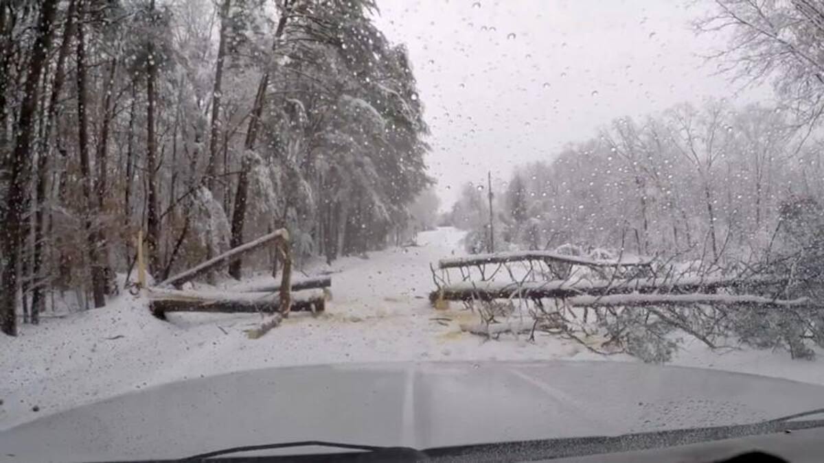 Heavy snow kills three, snarls travel in U.S. Southeast – Firstpost