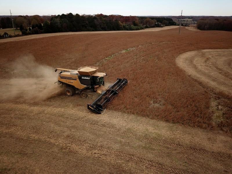 US confirms China soybean sale but size disappoints